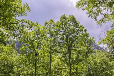 21r Pilot Knob Road Glenville NC 28736