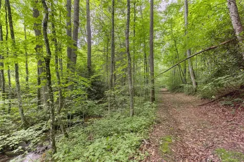 21r Pilot Knob Road Glenville NC 28736