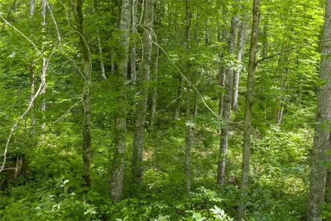 21r Pilot Knob Road Glenville NC 28736