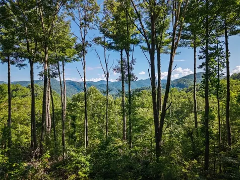 765 Nicholson Cove Road Cullowhee NC 28723