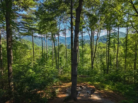 765 Nicholson Cove Road Cullowhee NC 28723