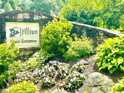 56A First Tee Trail Cashiers NC 28717