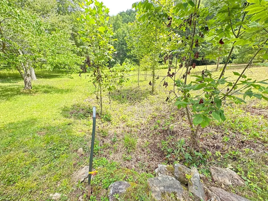 Lot 76 Pasture Road Glenville NC 28736