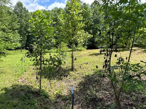 Lot 76 Pasture Road Glenville NC 28736