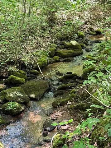 Lot 76 Pasture Road Glenville NC 28736