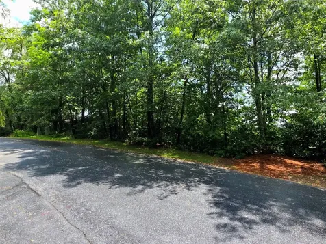 Lot 2 Eagle Ridge Road Sapphire NC 28774