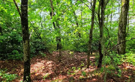Lot 2 Eagle Ridge Road Sapphire NC 28774