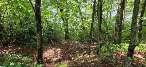 Lot 2 Eagle Ridge Road Sapphire NC 28774