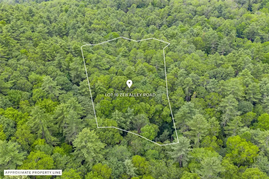 Lot 16 Zeb Alley Road Cashiers NC 28717