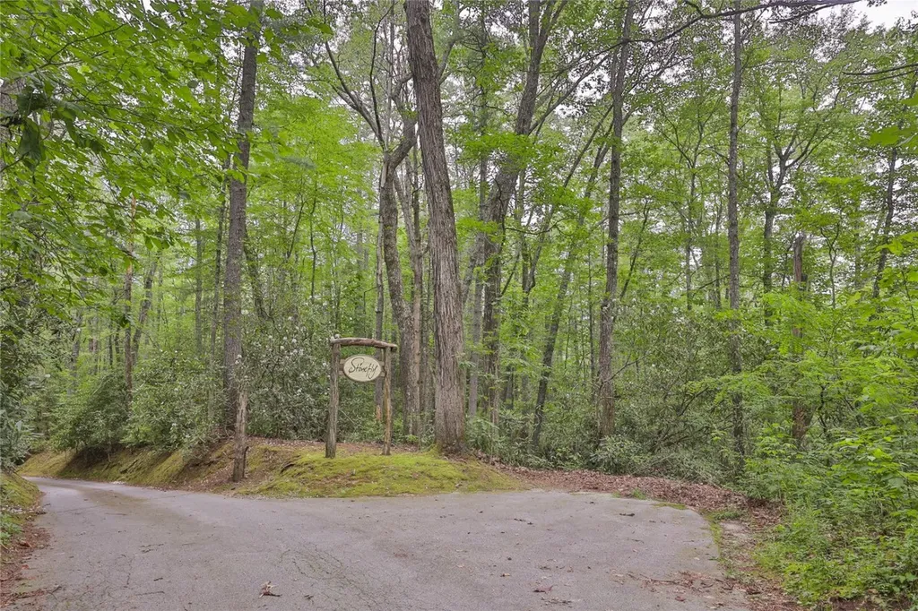 Lot 16 Zeb Alley Road Cashiers NC 28717