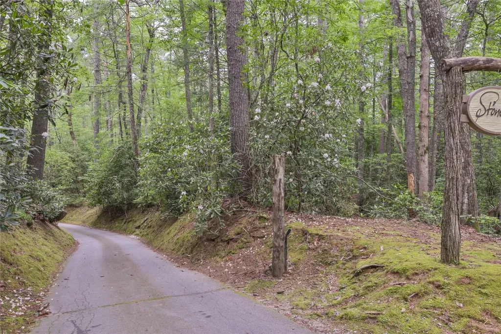 Lot 16 Zeb Alley Road Cashiers NC 28717