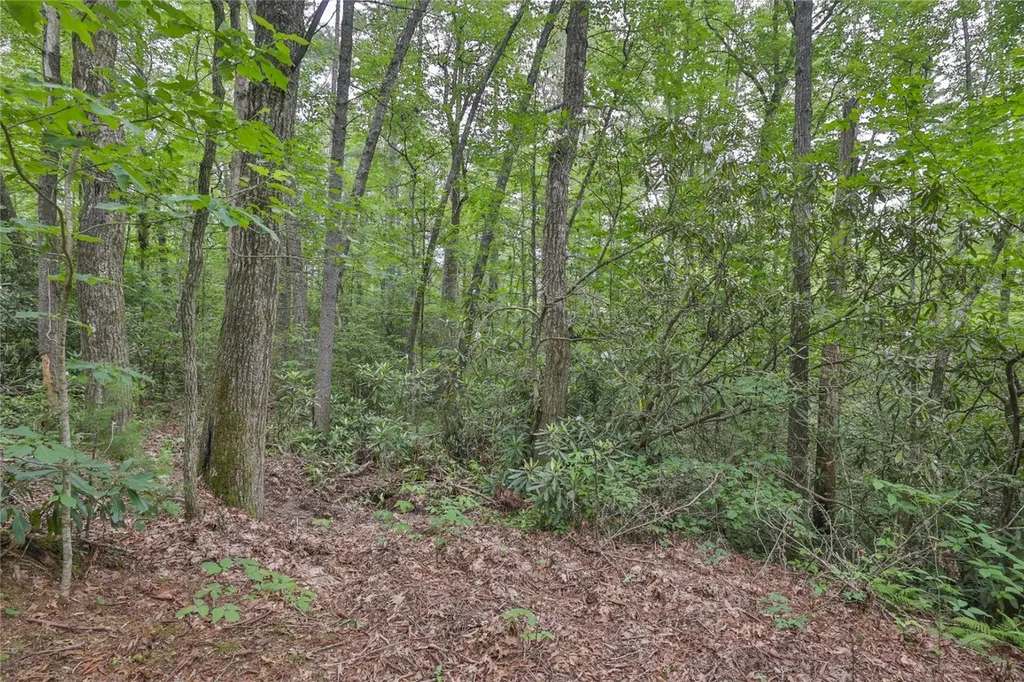 Lot 16 Zeb Alley Road Cashiers NC 28717