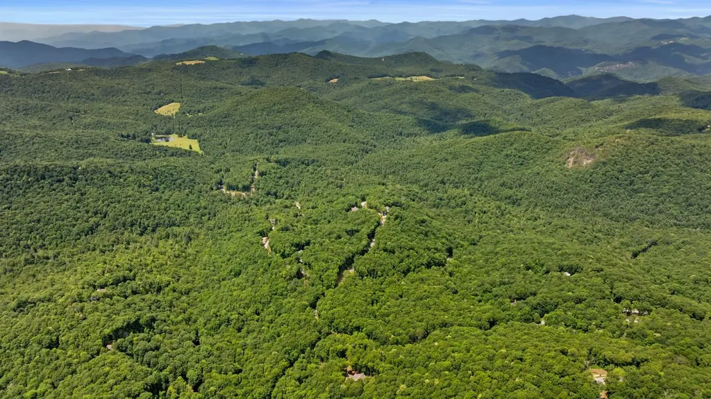 1310 New Settlers Way Glenville NC 28736