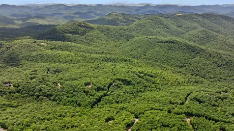 1310 New Settlers Way Glenville NC 28736