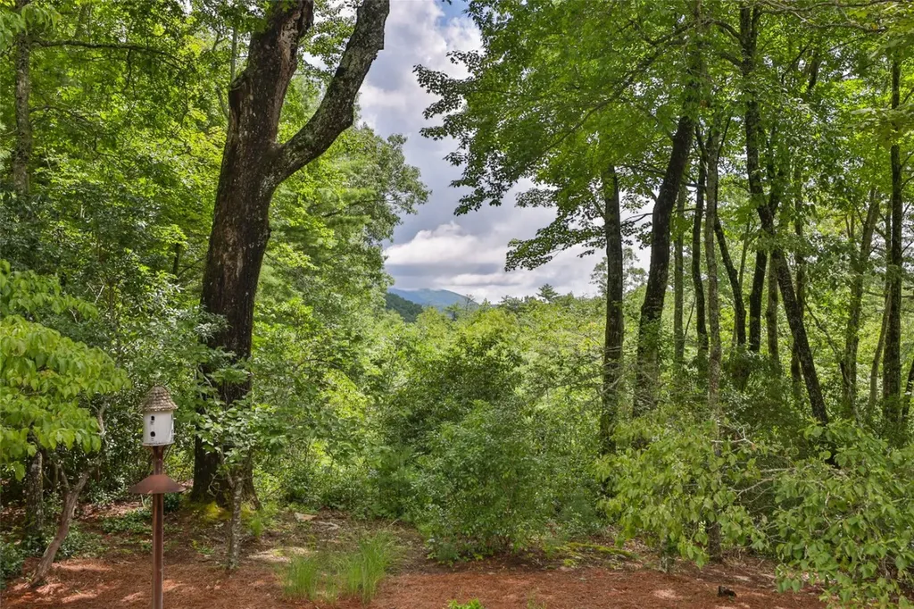 166 Upper Ridge Road Cashiers NC 28717