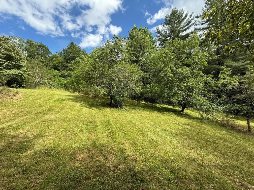 48 Upsy Daisy Lane Cullowhee NC 28723