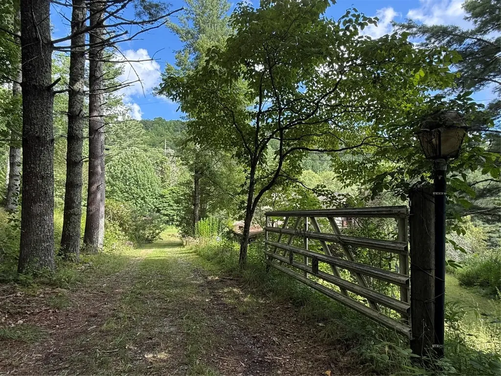 48 Upsy Daisy Lane Cullowhee NC 28723