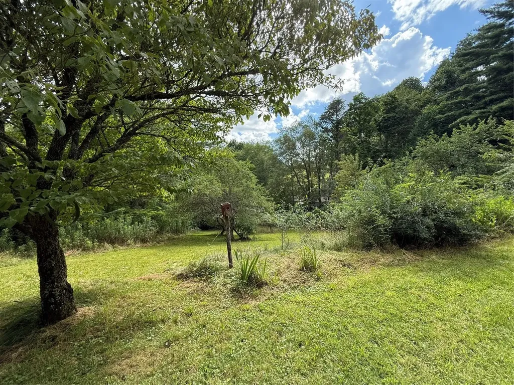 48 Upsy Daisy Lane Cullowhee NC 28723