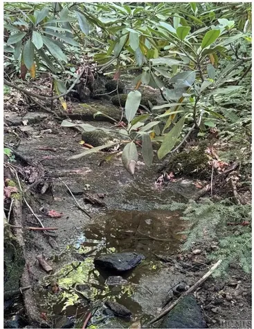 88 Lost Trail Highlands NC 28741