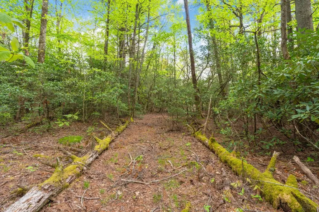 462 Bowery Road Highlands NC 28741