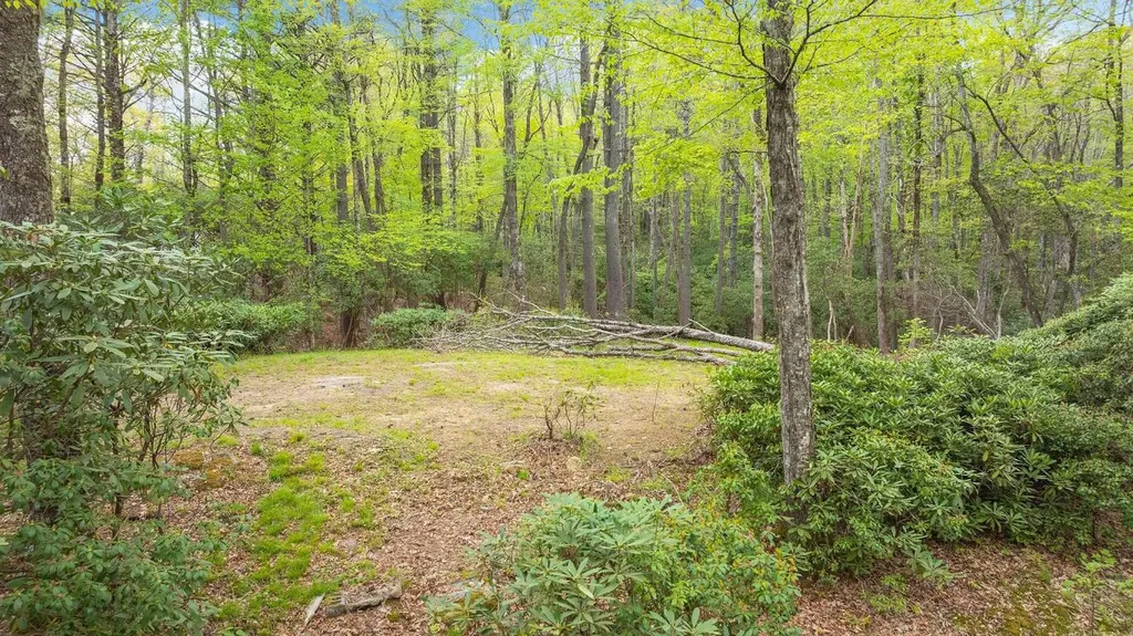 462 Bowery Road Highlands NC 28741