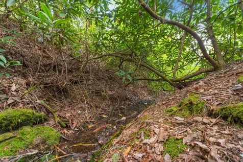 462 Bowery Road Highlands NC 28741