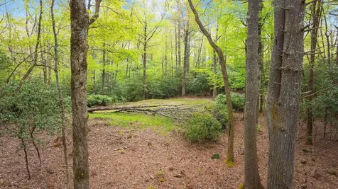 462 Bowery Road Highlands NC 28741