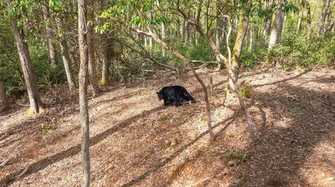 462 Bowery Road Highlands NC 28741