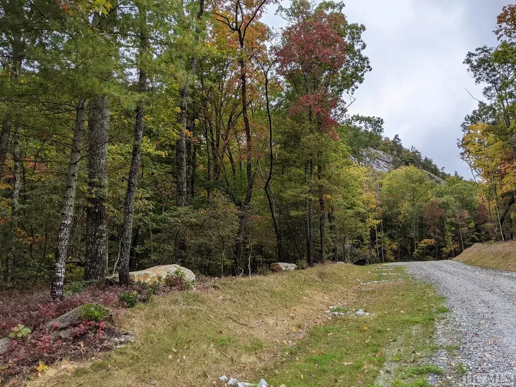 Lot 157 Lonesome Valley Road Sapphire NC 28774