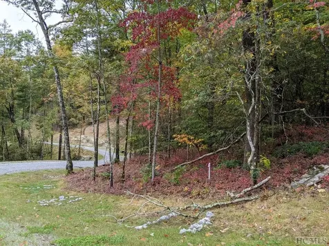 Lot 157 Lonesome Valley Sapphire NC 28774