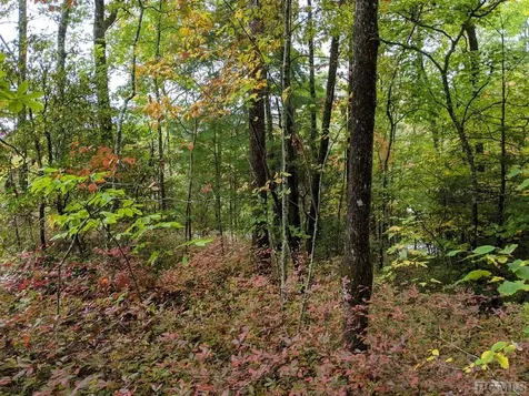 Lot 157 Lonesome Valley Sapphire NC 28774