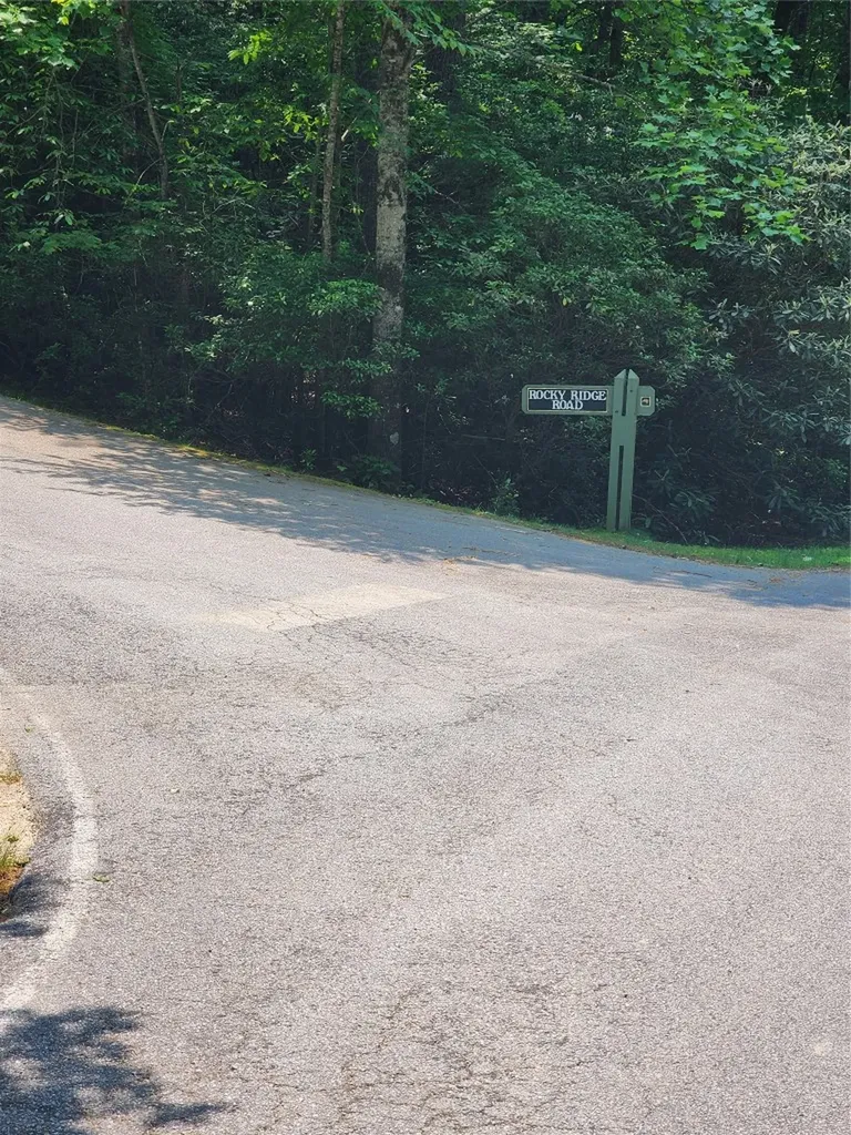 Lot 50 Big Pine Road Sapphire NC 28774