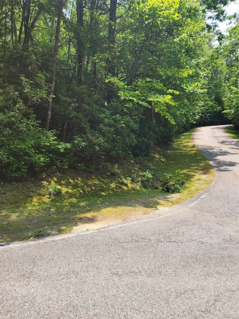 Lot 50 Big Pine Road Sapphire NC 28774