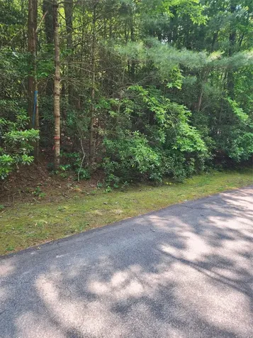 Lot 50 Big Pine Road Sapphire NC 28774