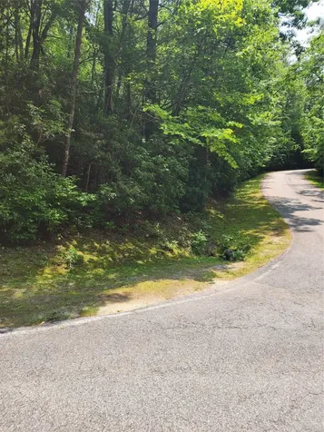 Lot 50 Big Pine Road Sapphire NC 28774