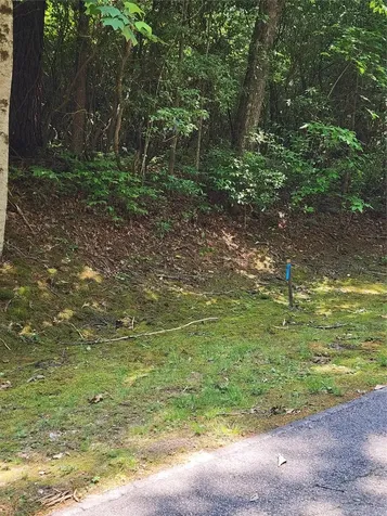 Lot 50 Big Pine Road Sapphire NC 28774