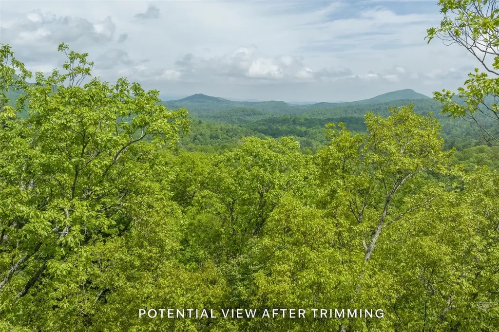 17 Orchard Way Sapphire NC 28774