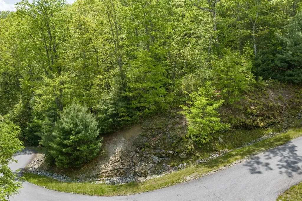 17 Orchard Way Sapphire NC 28774