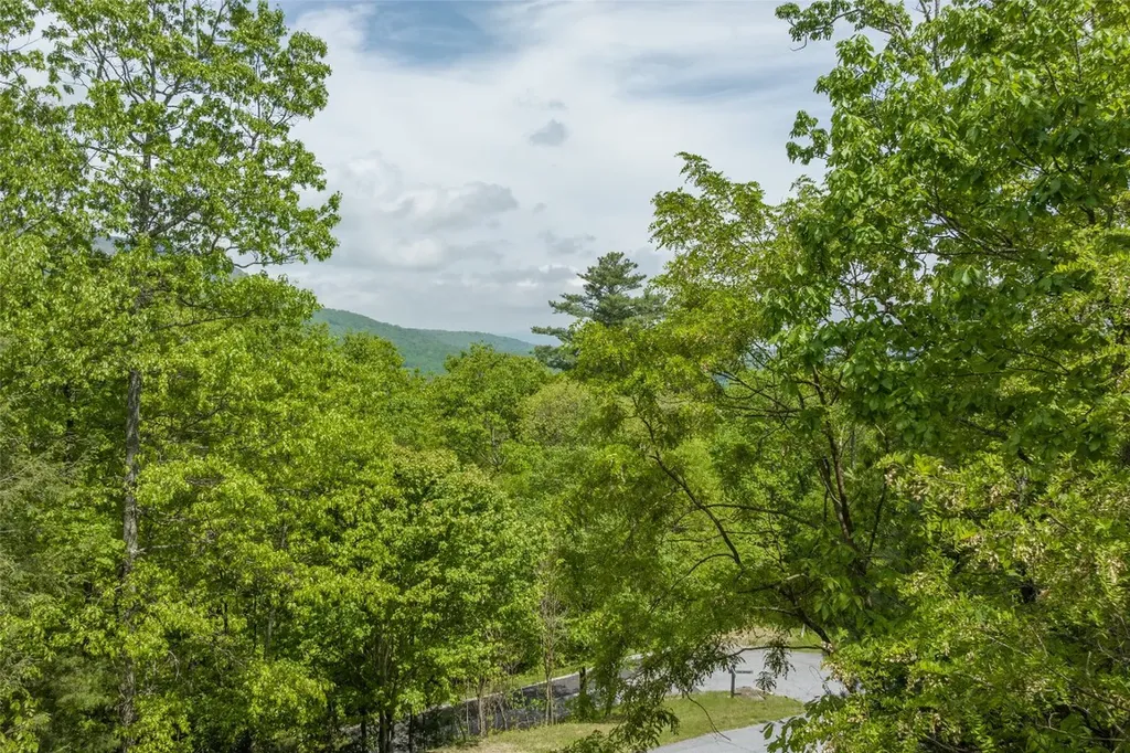 17 Orchard Way Sapphire NC 28774