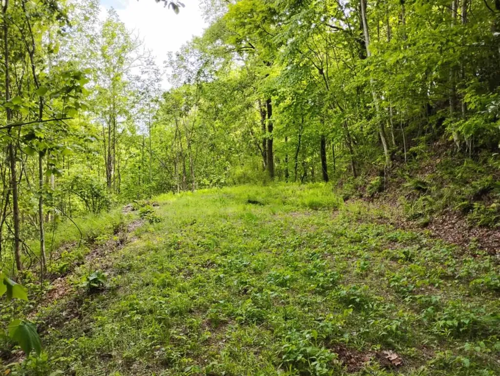 0 Highland Gap Scaly Mountain NC 28775