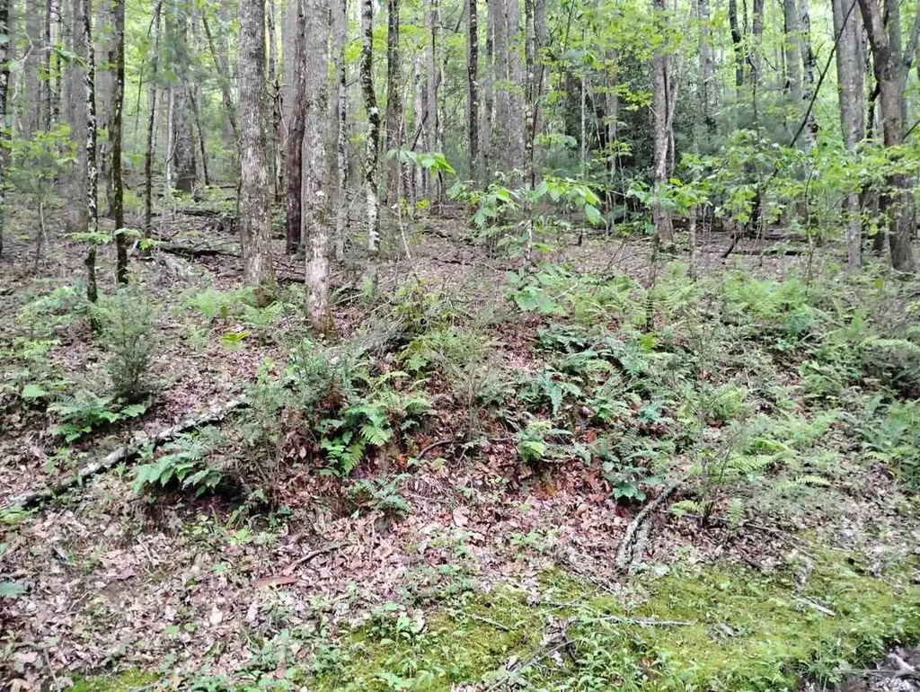0 Highland Gap Scaly Mountain NC 28775