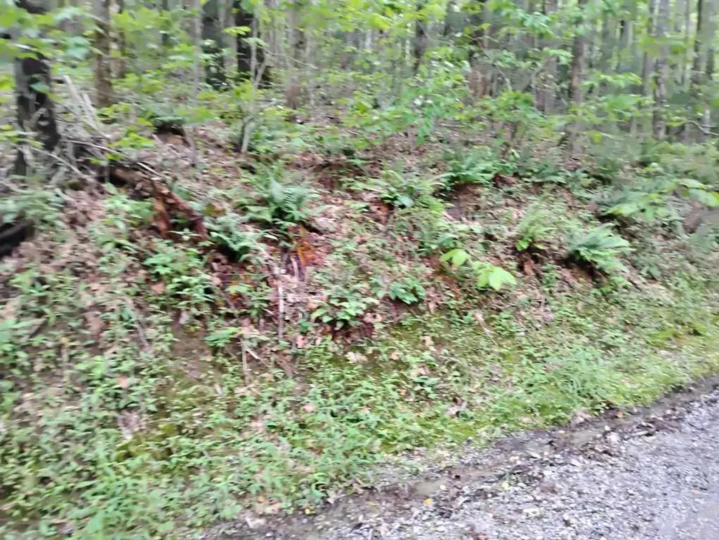 0 Highland Gap Scaly Mountain NC 28775