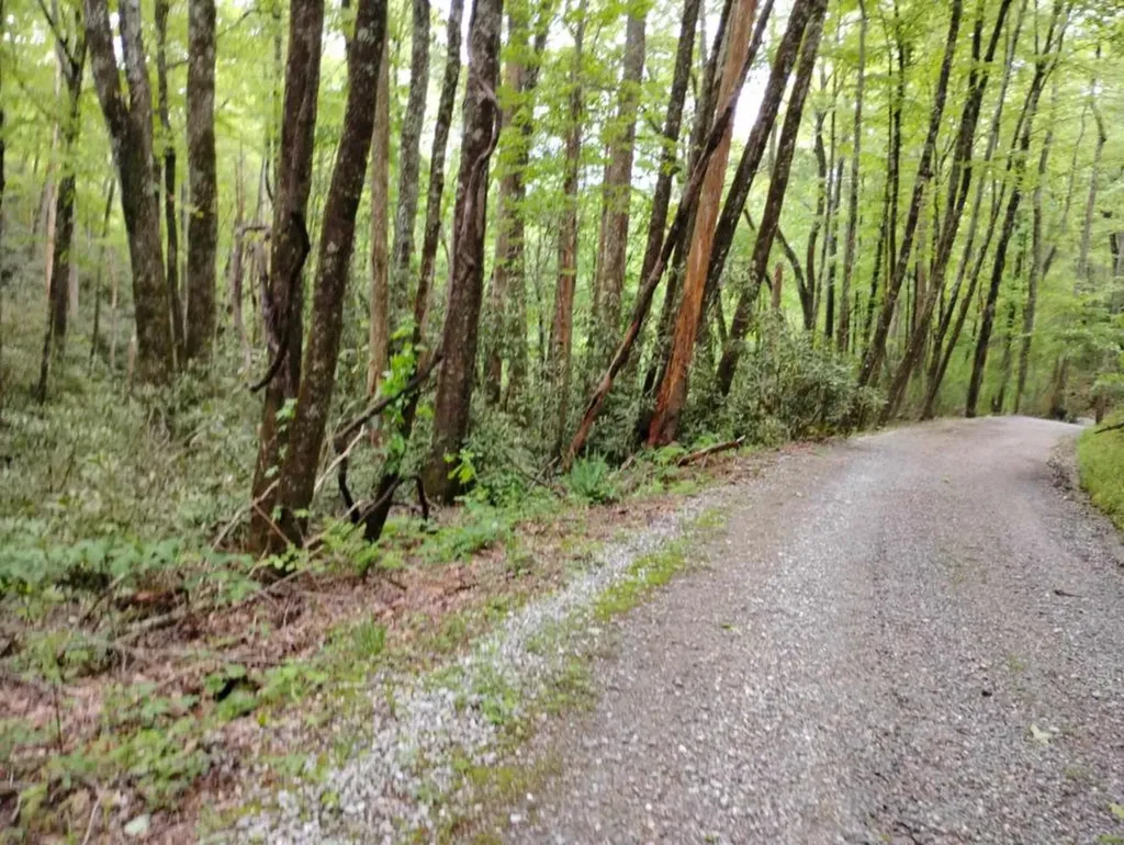 0 Highland Gap Scaly Mountain NC 28775