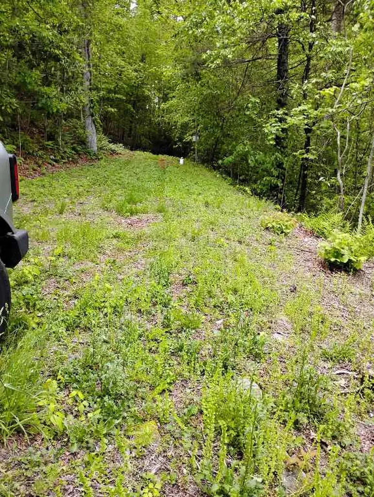 0 Highland Gap Scaly Mountain NC 28775