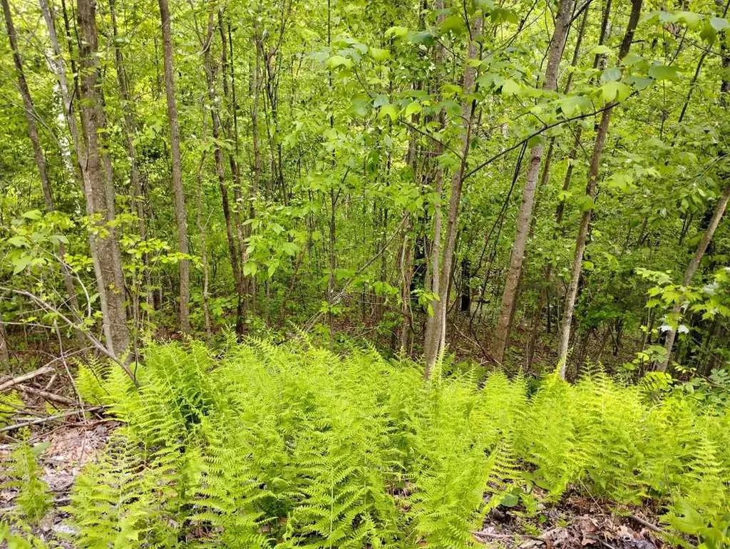 0 Highland Gap Scaly Mountain NC 28775