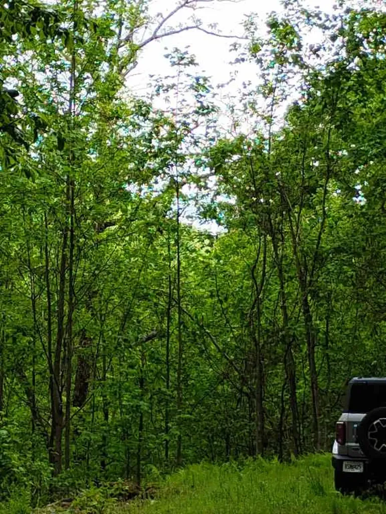 0 Highland Gap Scaly Mountain NC 28775