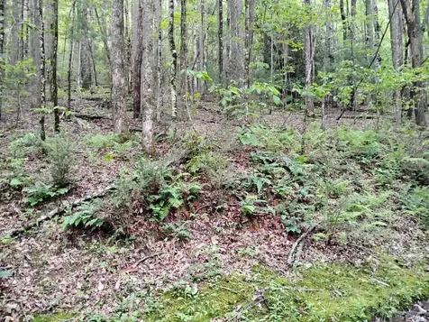 0 Highland Gap Scaly Mountain NC 28775