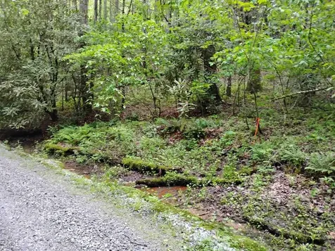 0 Highland Gap Scaly Mountain NC 28775