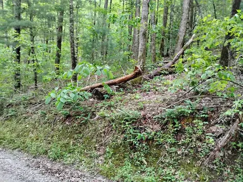 0 Highland Gap Scaly Mountain NC 28775