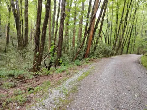 0 Highland Gap Scaly Mountain NC 28775